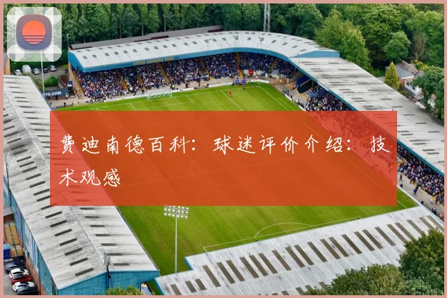 费迪南德百科：球迷评价介绍：技术观感