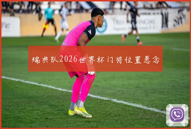 瑞典队2026世界杯门将位置悬念