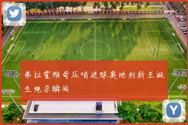 弗拉霍维奇压哨进球奥地利新王诞生绝杀瞬间