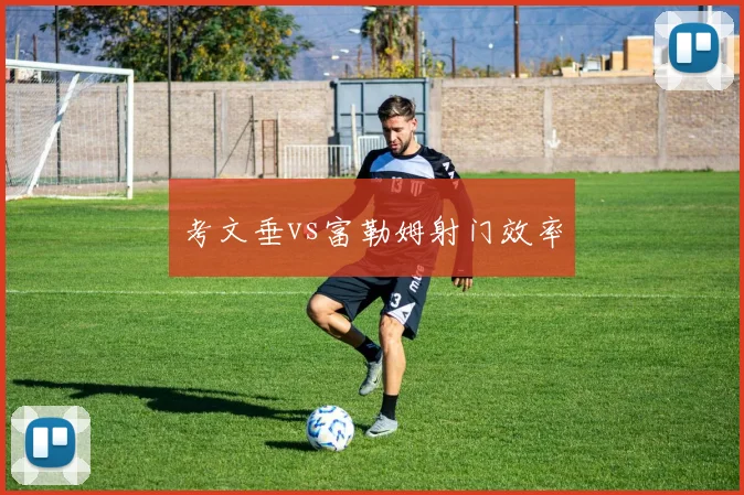 考文垂vs富勒姆射门效率